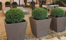 Rectangular Conic Planter